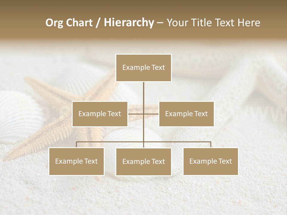 Nature Beach Shallow PowerPoint Template