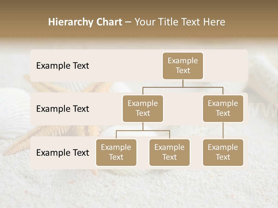 Nature Beach Shallow PowerPoint Template