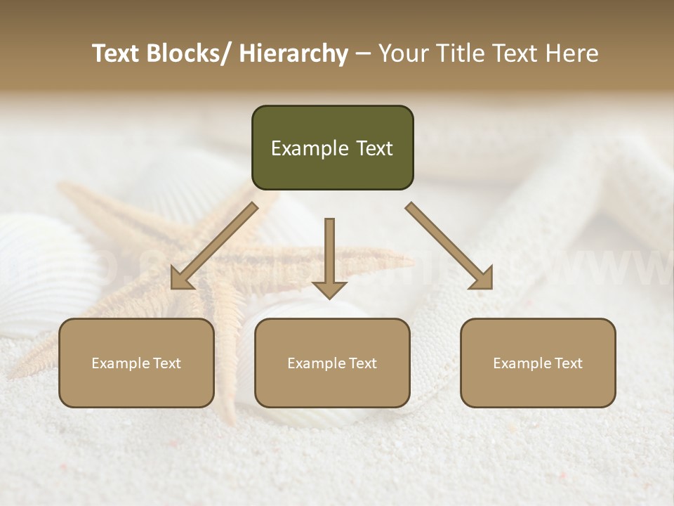 Nature Beach Shallow PowerPoint Template
