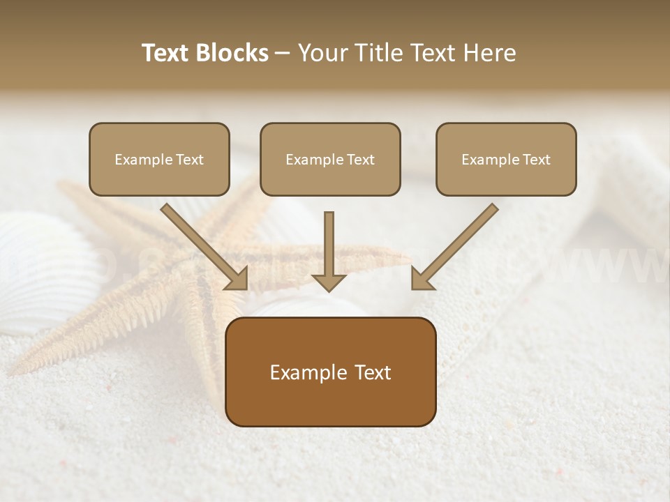 Nature Beach Shallow PowerPoint Template