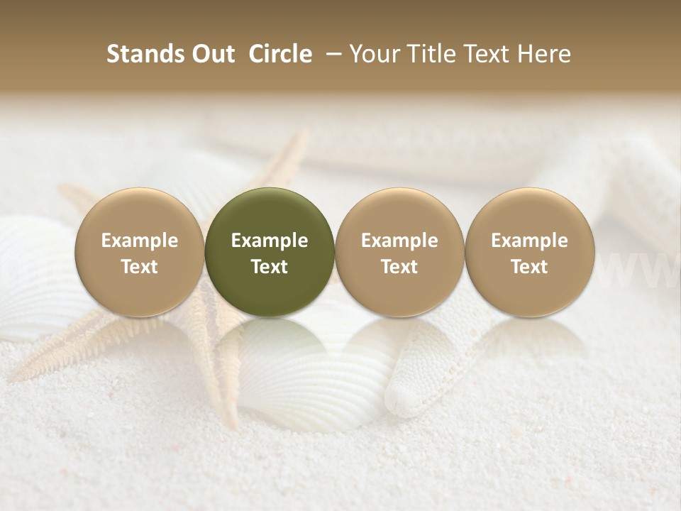 Nature Beach Shallow PowerPoint Template