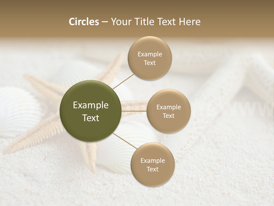 Nature Beach Shallow PowerPoint Template