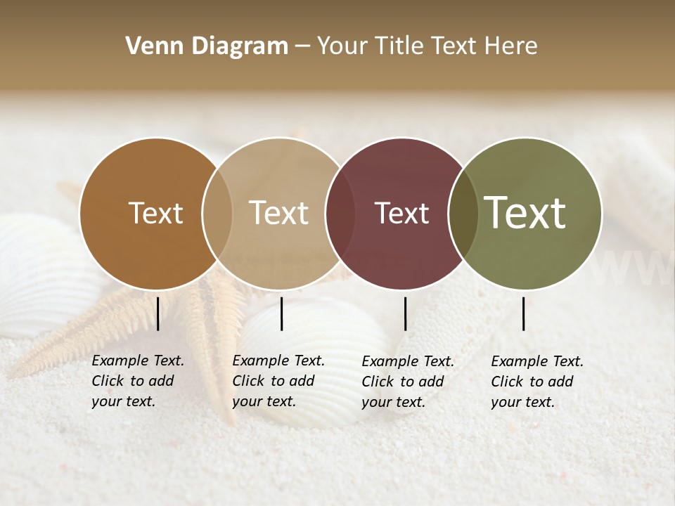 Nature Beach Shallow PowerPoint Template