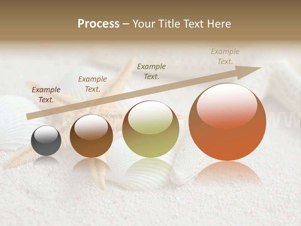 Nature Beach Shallow PowerPoint Template