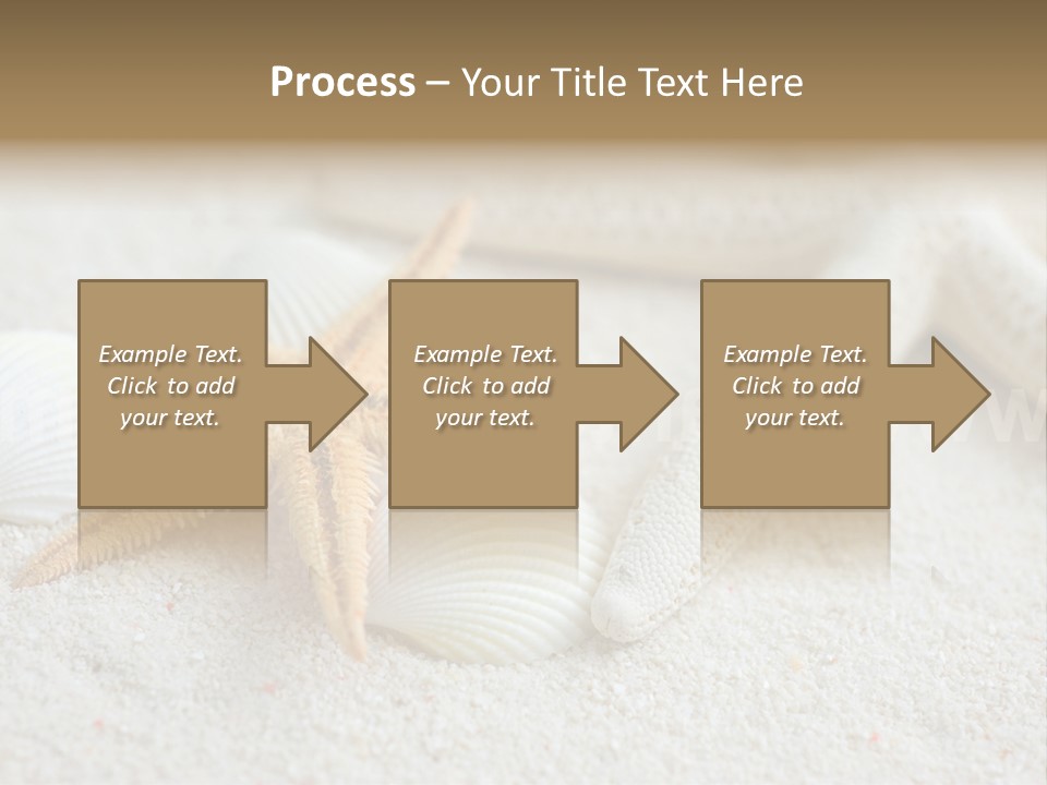Nature Beach Shallow PowerPoint Template