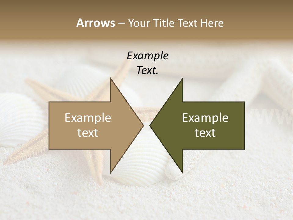 Nature Beach Shallow PowerPoint Template
