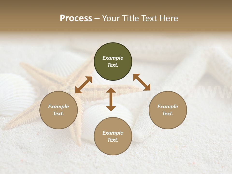 Nature Beach Shallow PowerPoint Template