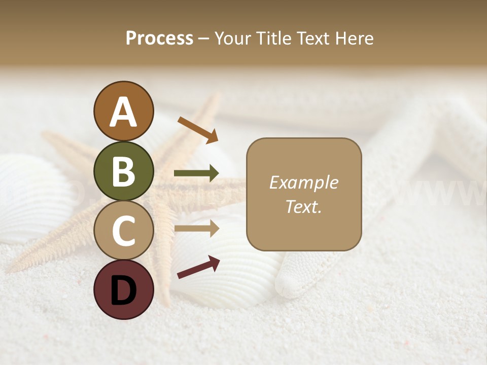 Nature Beach Shallow PowerPoint Template