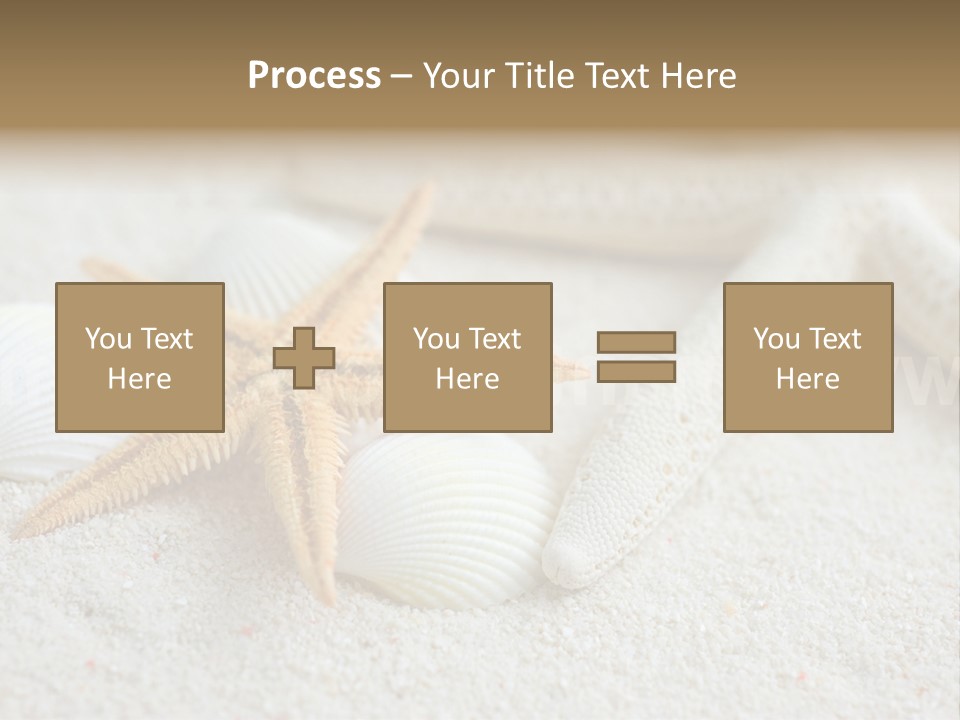 Nature Beach Shallow PowerPoint Template