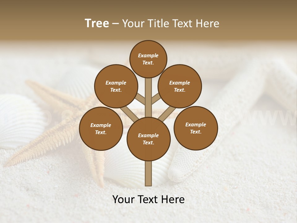 Nature Beach Shallow PowerPoint Template