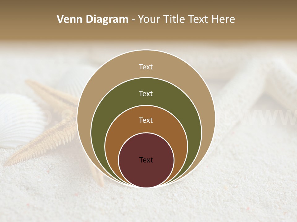 Nature Beach Shallow PowerPoint Template