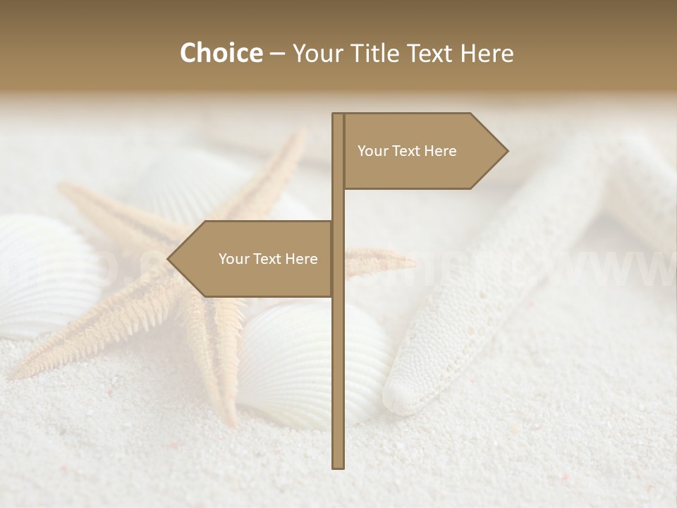 Nature Beach Shallow PowerPoint Template