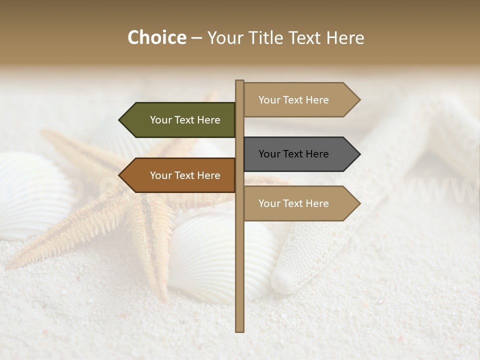 Nature Beach Shallow PowerPoint Template