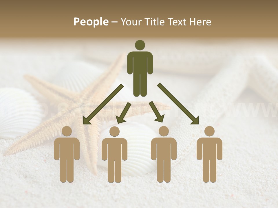 Nature Beach Shallow PowerPoint Template