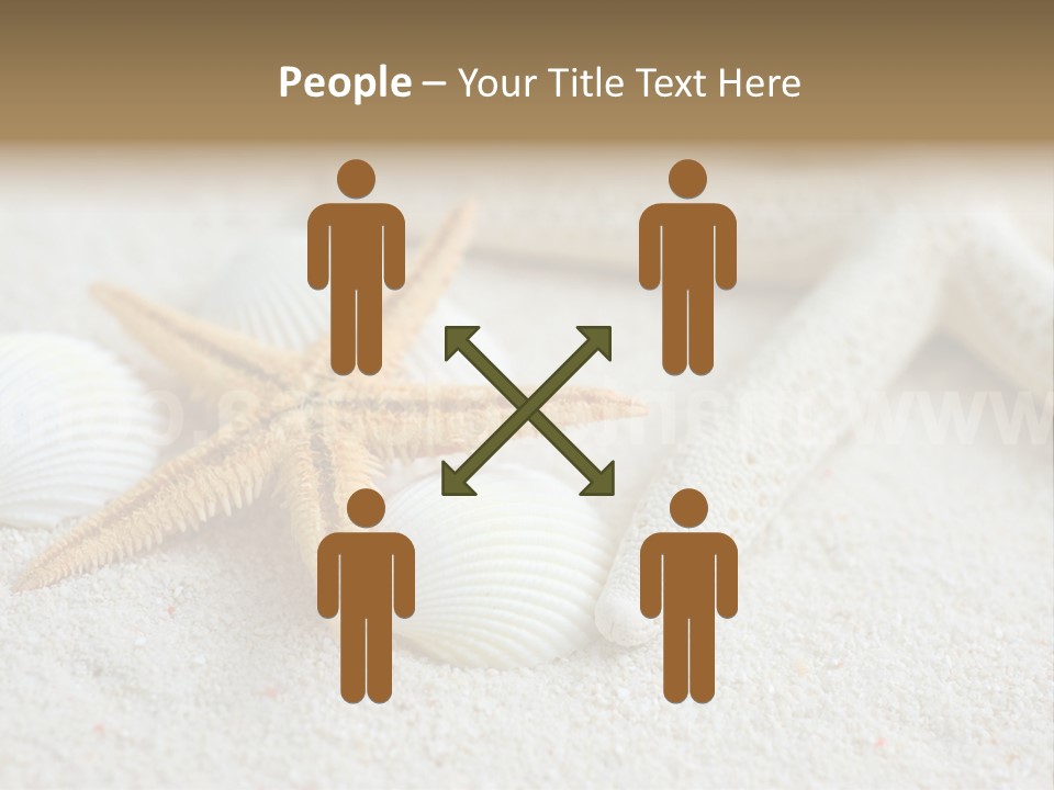 Nature Beach Shallow PowerPoint Template