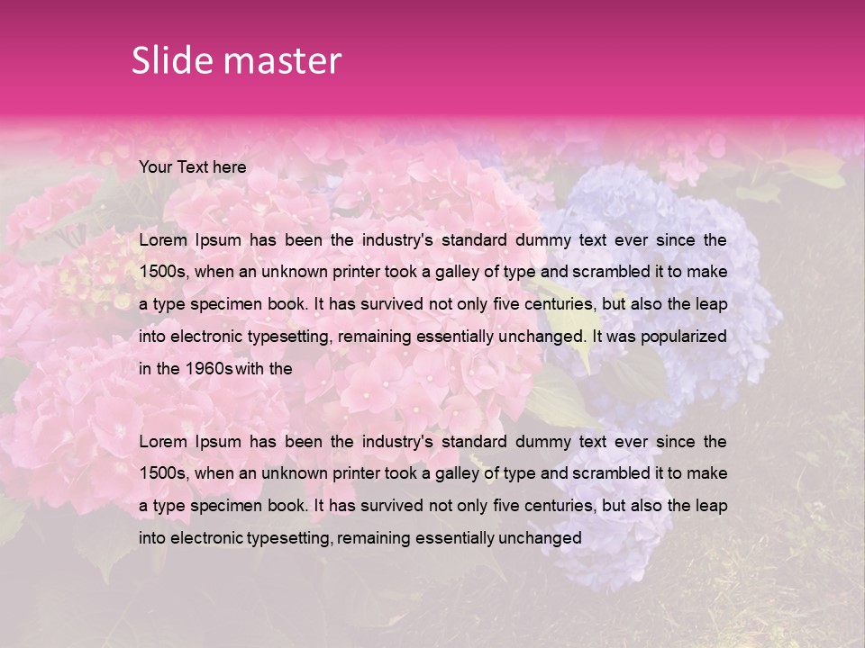 Hydrangea Beautiful Stem PowerPoint Template