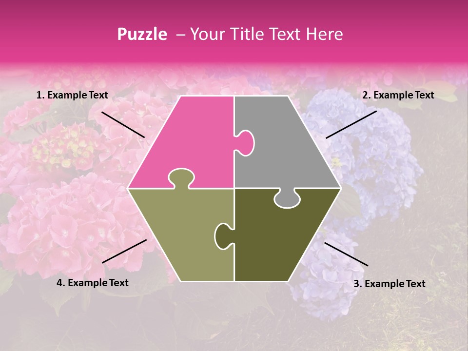 Hydrangea Beautiful Stem PowerPoint Template