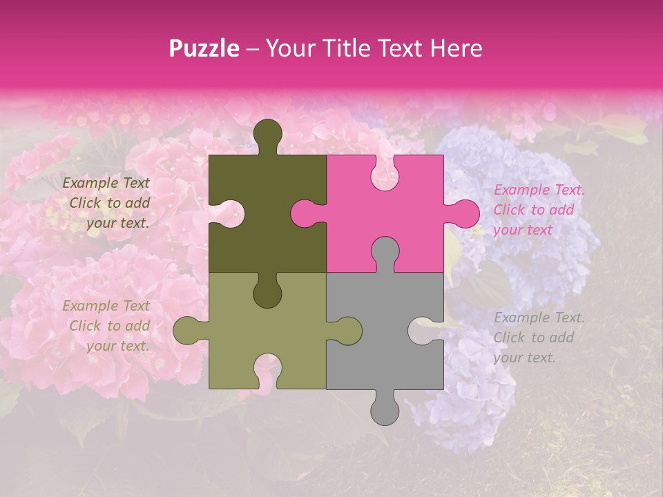 Hydrangea Beautiful Stem PowerPoint Template