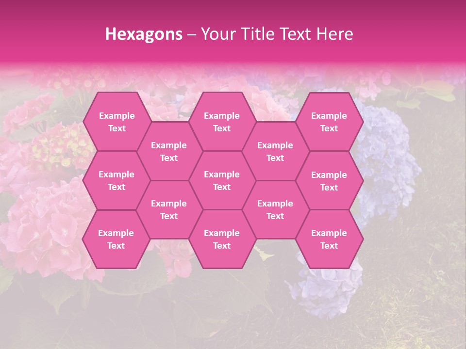 Hydrangea Beautiful Stem PowerPoint Template