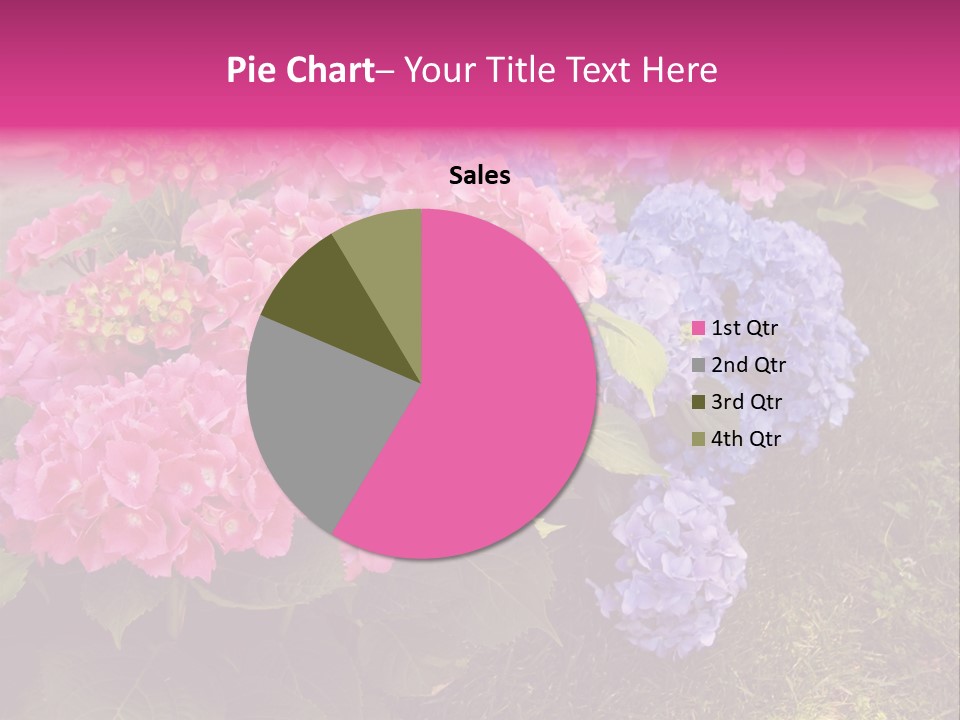 Hydrangea Beautiful Stem PowerPoint Template