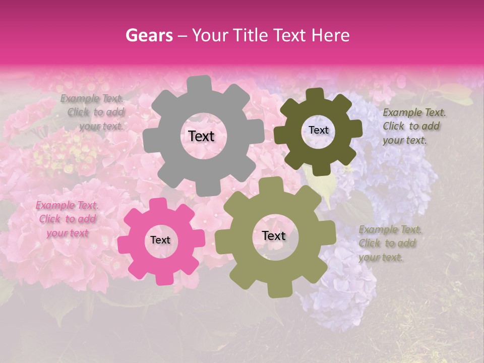 Hydrangea Beautiful Stem PowerPoint Template