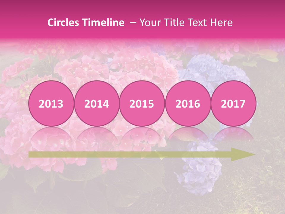 Hydrangea Beautiful Stem PowerPoint Template