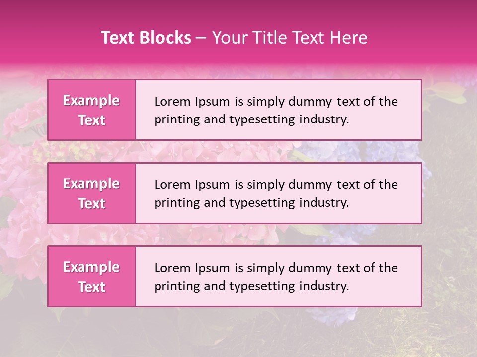 Hydrangea Beautiful Stem PowerPoint Template