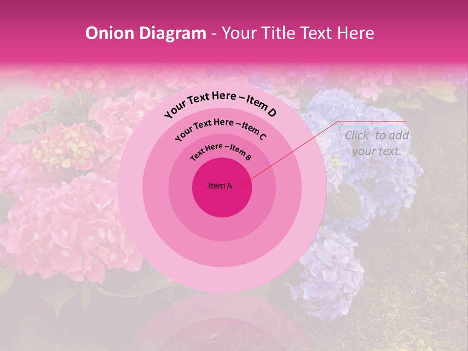 Hydrangea Beautiful Stem PowerPoint Template