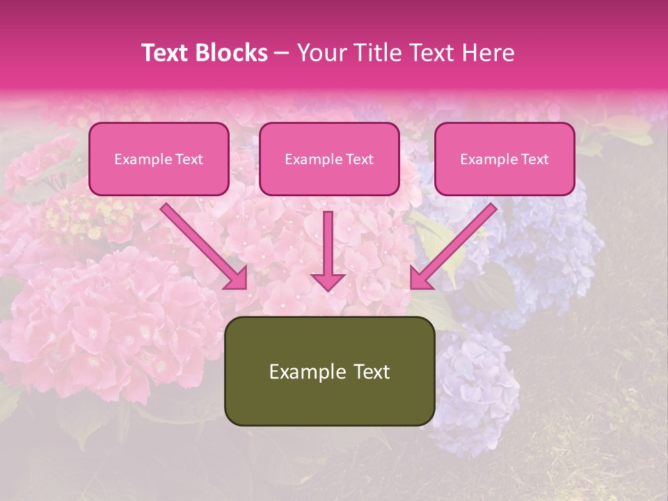 Hydrangea Beautiful Stem PowerPoint Template