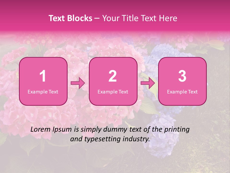 Hydrangea Beautiful Stem PowerPoint Template