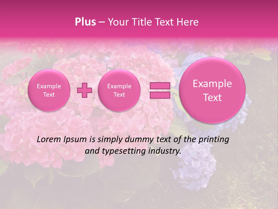 Hydrangea Beautiful Stem PowerPoint Template