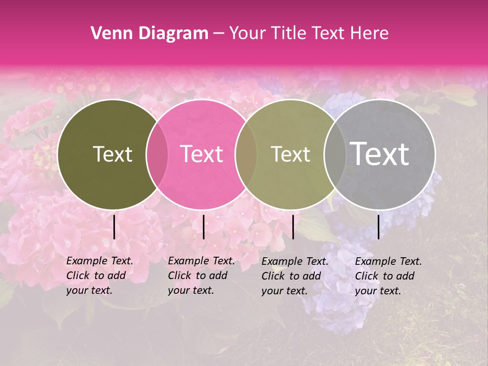 Hydrangea Beautiful Stem PowerPoint Template