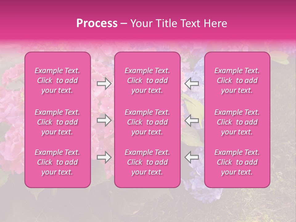 Hydrangea Beautiful Stem PowerPoint Template