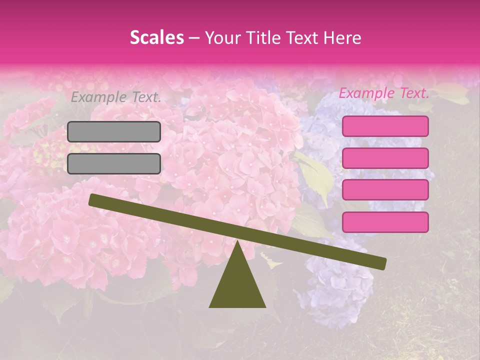 Hydrangea Beautiful Stem PowerPoint Template