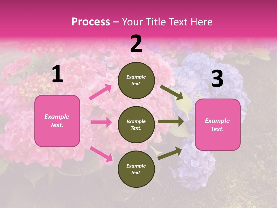 Hydrangea Beautiful Stem PowerPoint Template