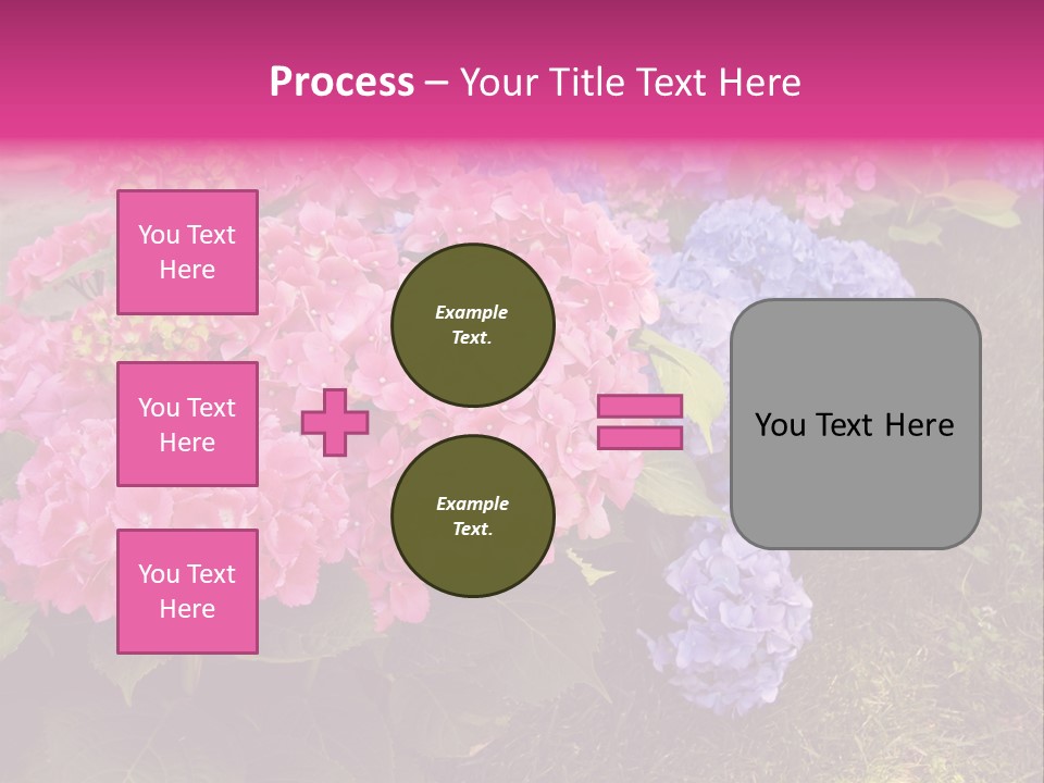 Hydrangea Beautiful Stem PowerPoint Template