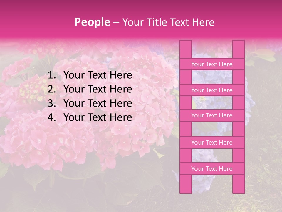 Hydrangea Beautiful Stem PowerPoint Template
