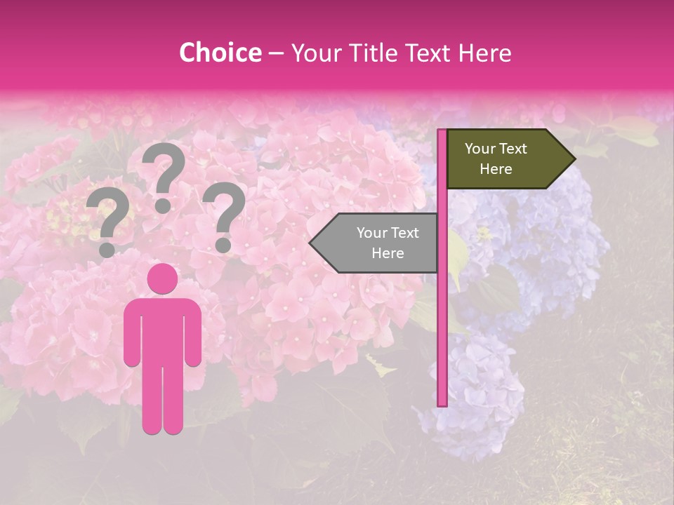 Hydrangea Beautiful Stem PowerPoint Template