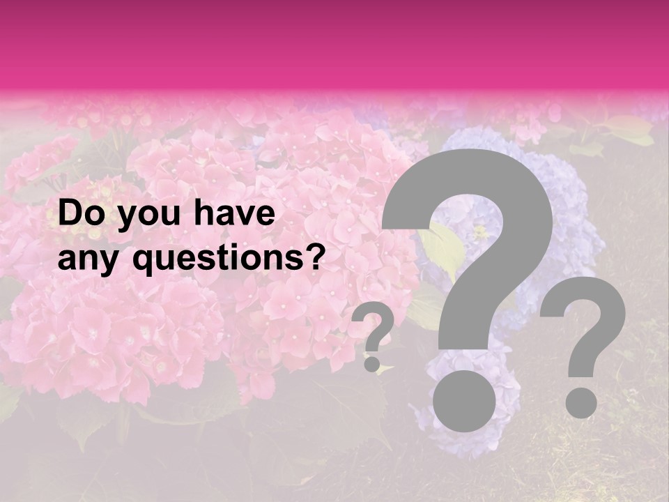 Hydrangea Beautiful Stem PowerPoint Template