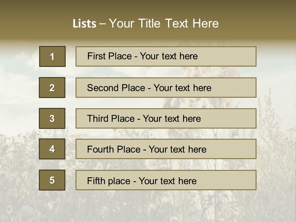 Girl In A Field With Flowers PowerPoint Template