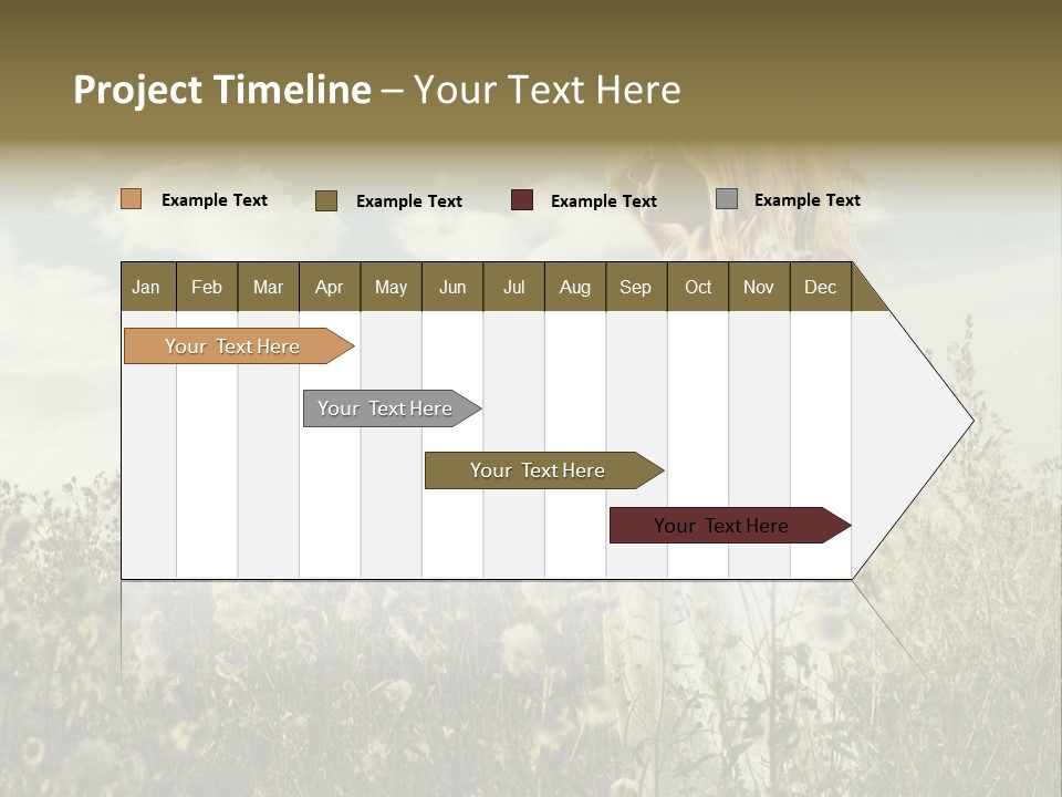 Girl In A Field With Flowers PowerPoint Template