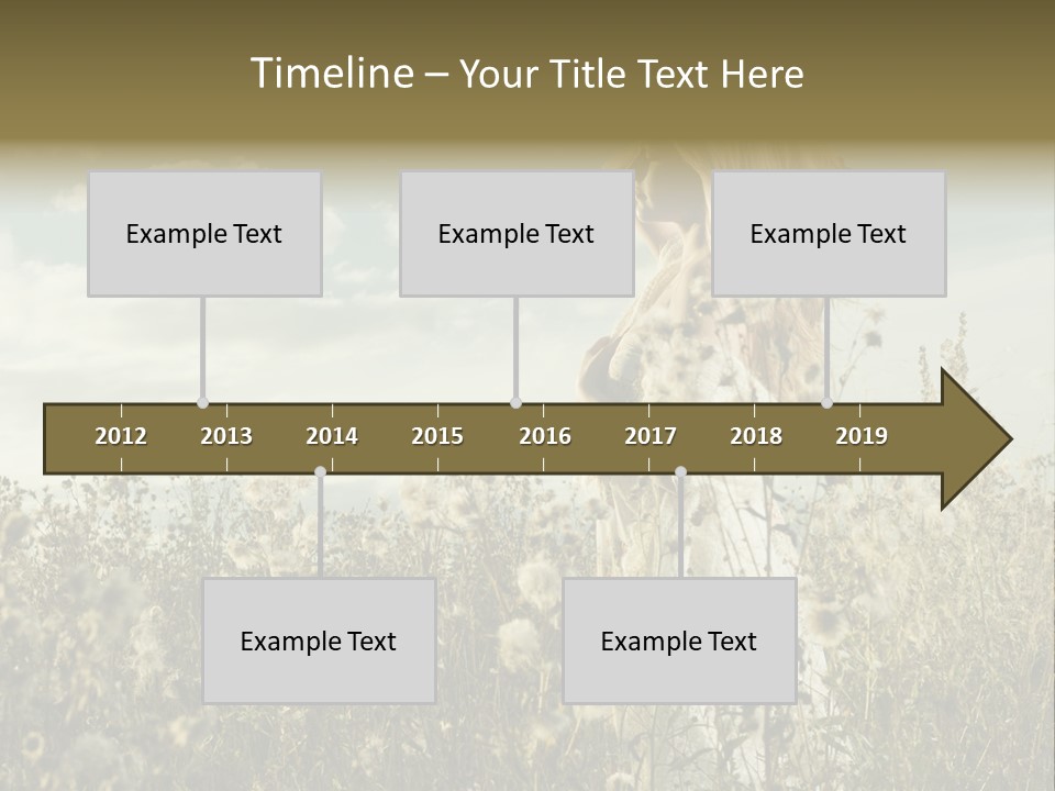 Girl In A Field With Flowers PowerPoint Template