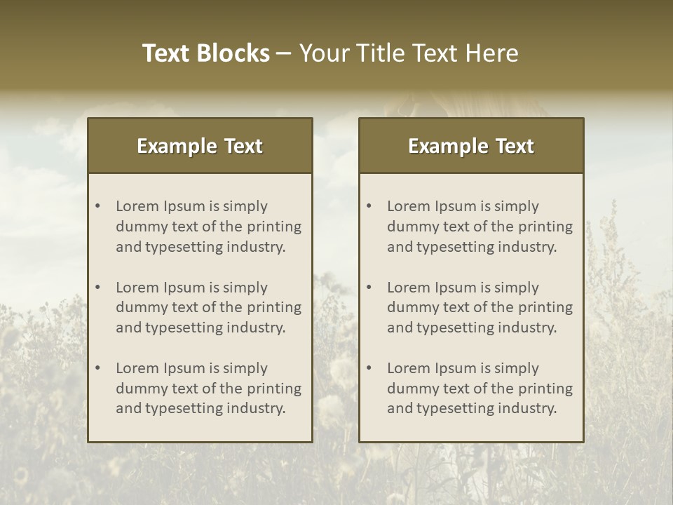 Girl In A Field With Flowers PowerPoint Template