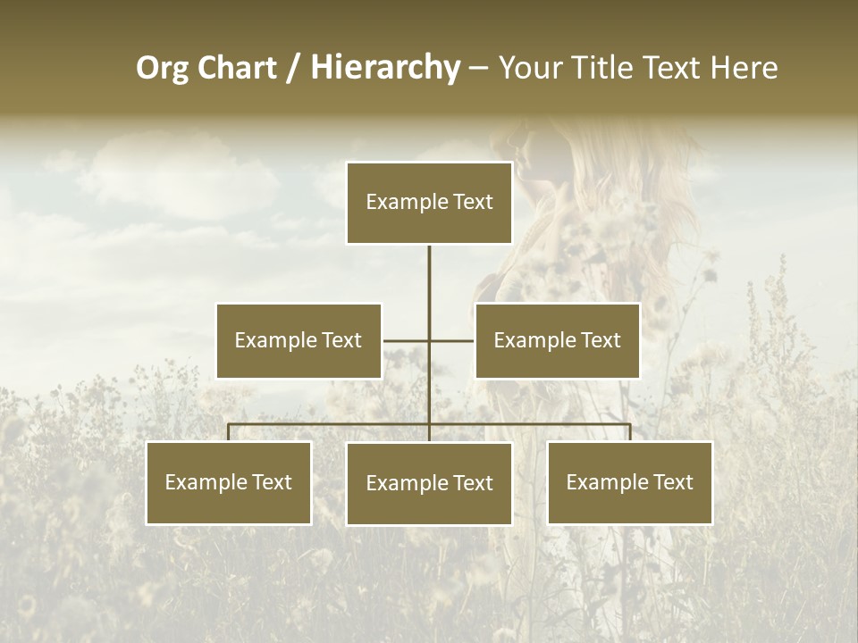 Girl In A Field With Flowers PowerPoint Template