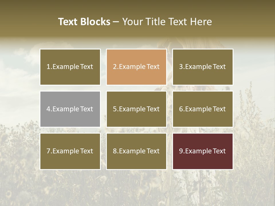 Girl In A Field With Flowers PowerPoint Template