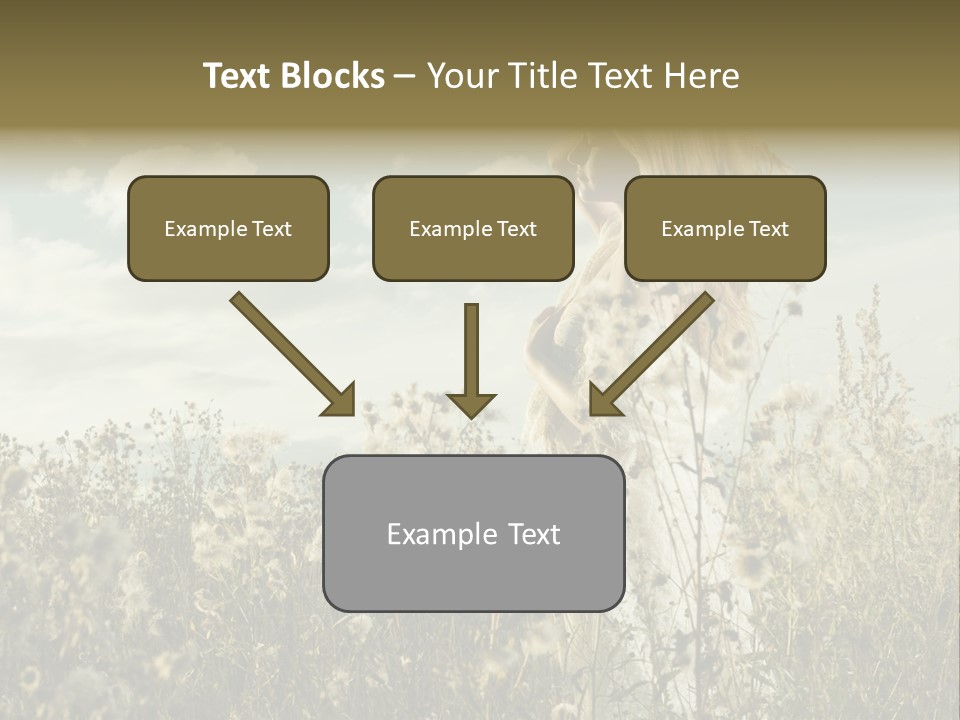 Girl In A Field With Flowers PowerPoint Template