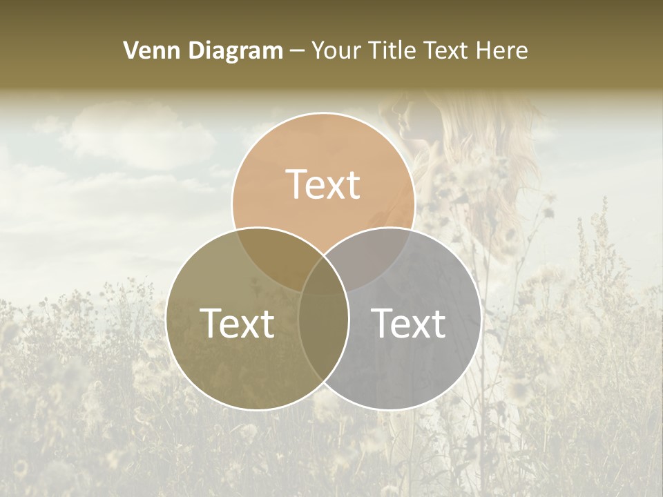 Girl In A Field With Flowers PowerPoint Template