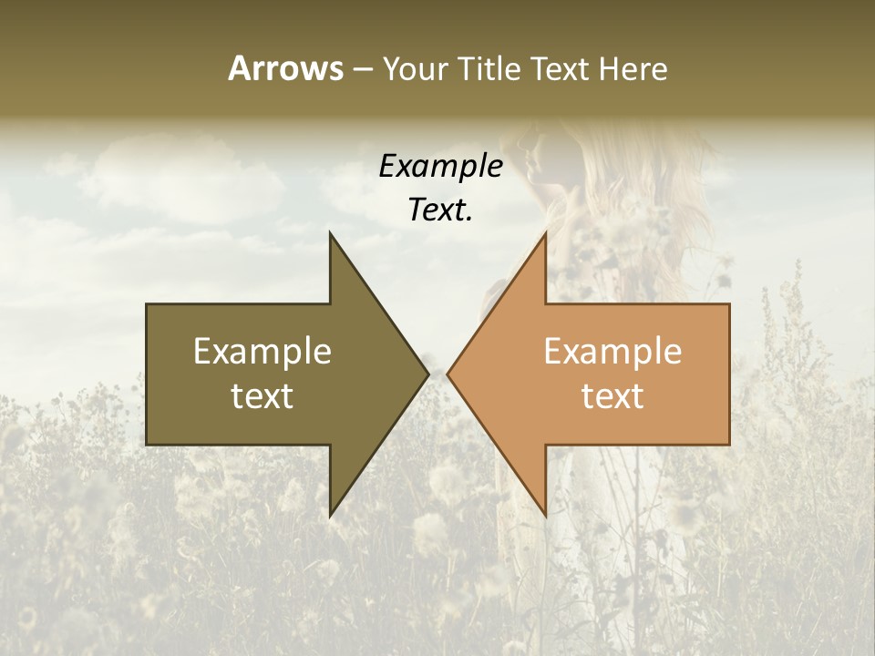 Girl In A Field With Flowers PowerPoint Template