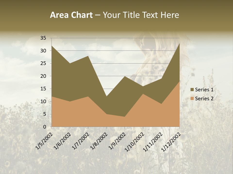 Girl In A Field With Flowers PowerPoint Template