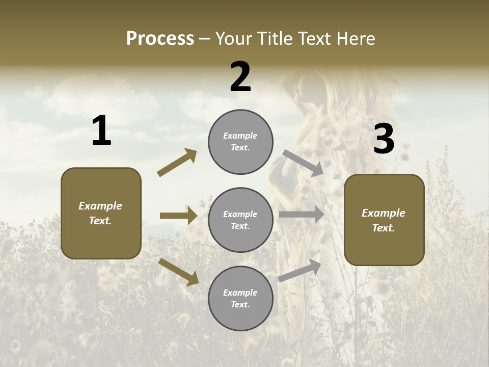 Girl In A Field With Flowers PowerPoint Template